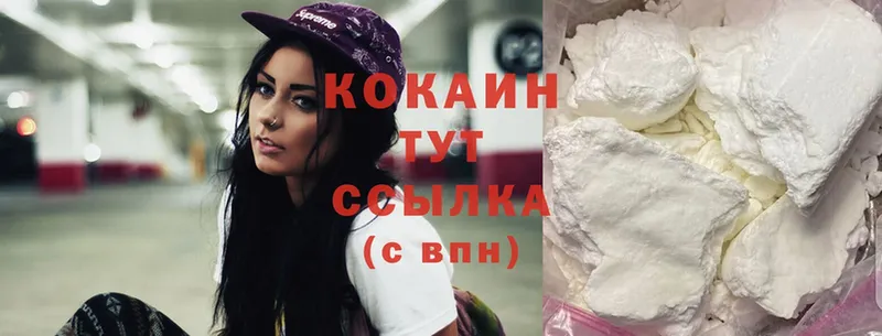 Cocaine FishScale  купить наркотики сайты  Моздок 