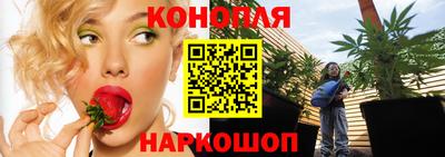 метадон Гусь-Хрустальный