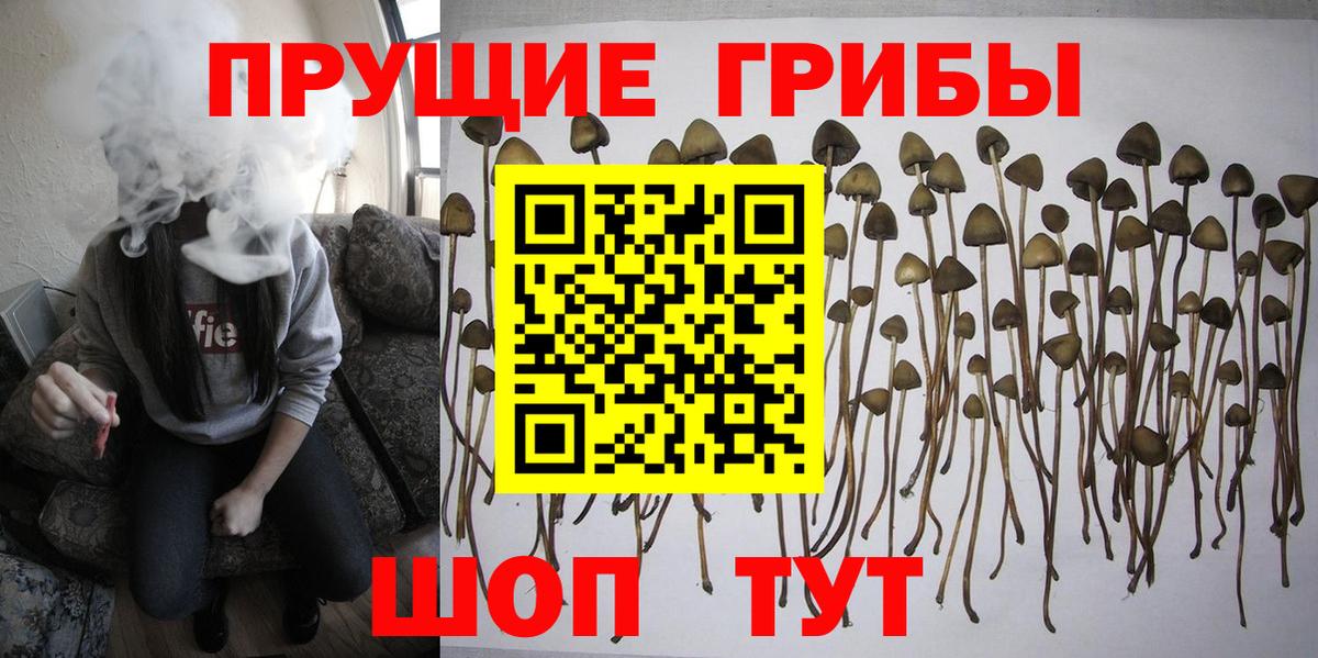 Псилоцибиновые грибы MAGIC MUSHROOMS  Моздок 