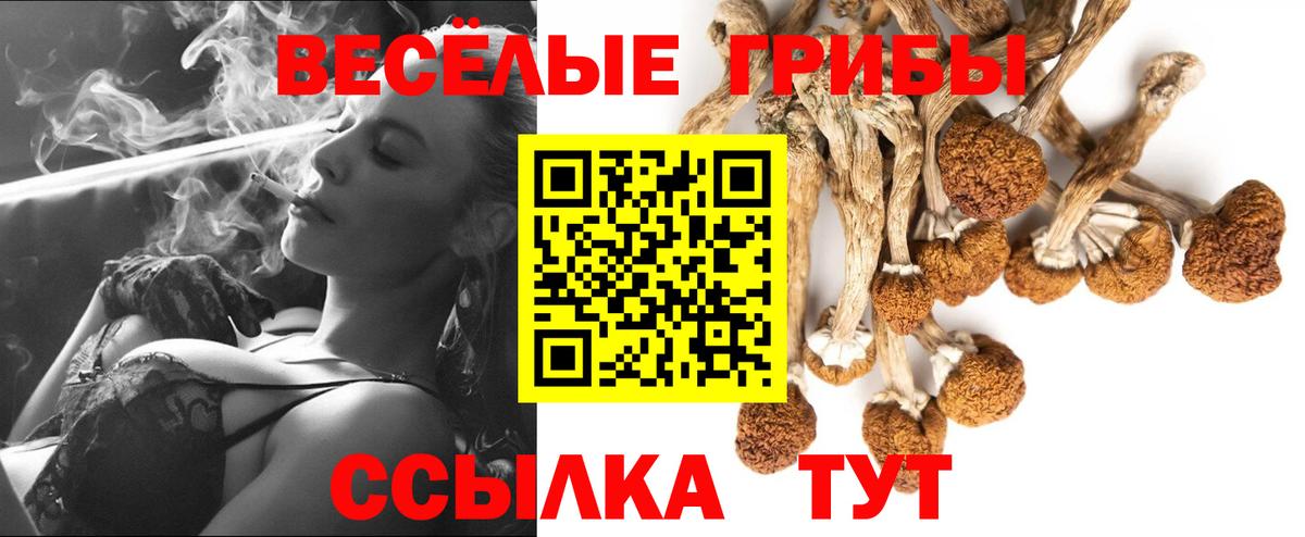 Бошки Шишки  ГАШИШ  Вход с VPN  КОКАИН  Метадон  НБОМе  Моздок  Меф  