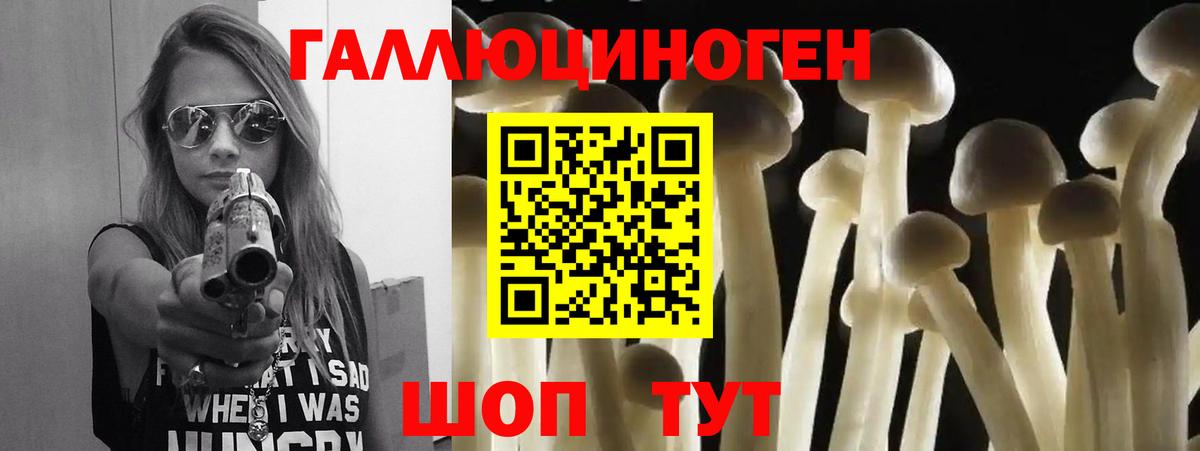 Псилоцибиновые грибы мухоморы Моздок