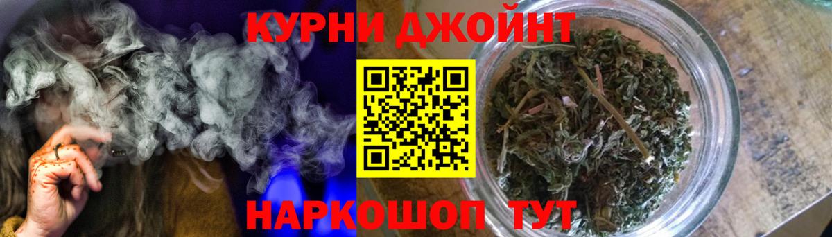 Шишки марихуана семена Моздок